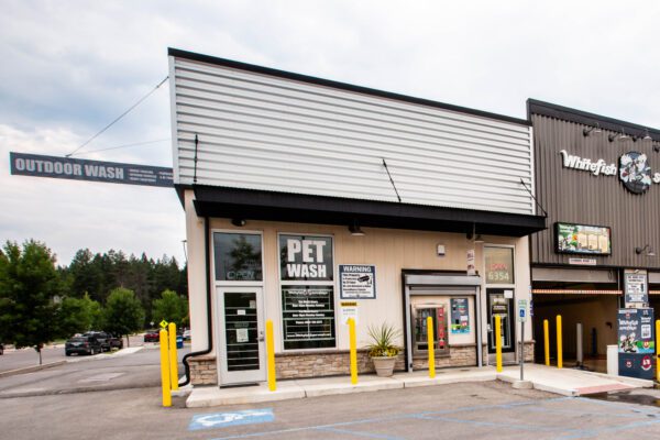 Superwash---Whitefish4